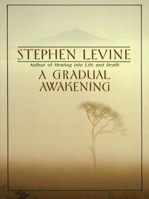 cover image of A Gradual Awakening